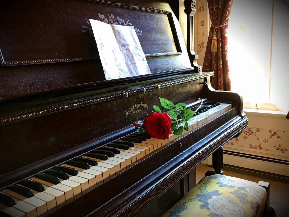 Rose Street Bed & Breakfast Джорджтаун Экстерьер фото